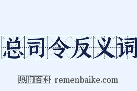 总司令反义词是什么意思的图片